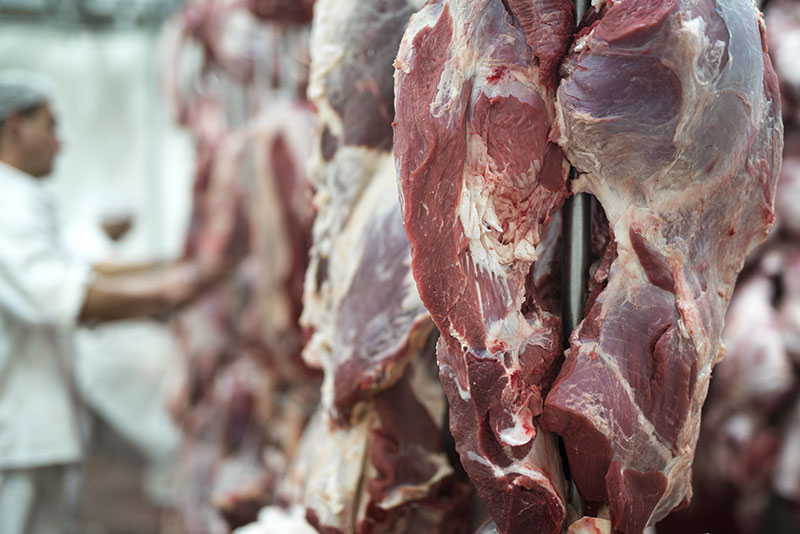تطوير صناعة اللحوم في المغرب