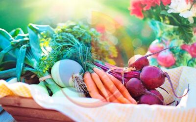 Le stockage au froid des fruits et légumes: pourquoi est- il important pour notre santé ?